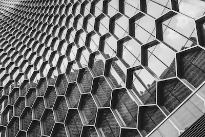 Redundant management path